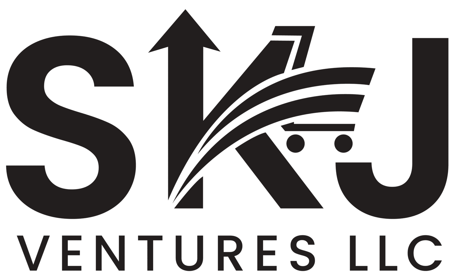 SKY VENTURES LLC